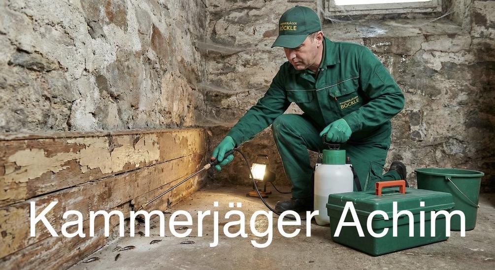 Typische Gebäudestrukturen in Achim in Achim: Kammerjäger Expertise