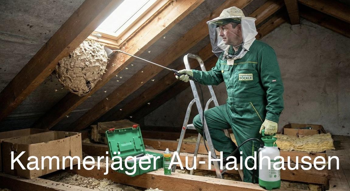 Typische Gebäudestrukturen in Au-Haidhausen in Au-Haidhausen: Kammerjäger Expertise