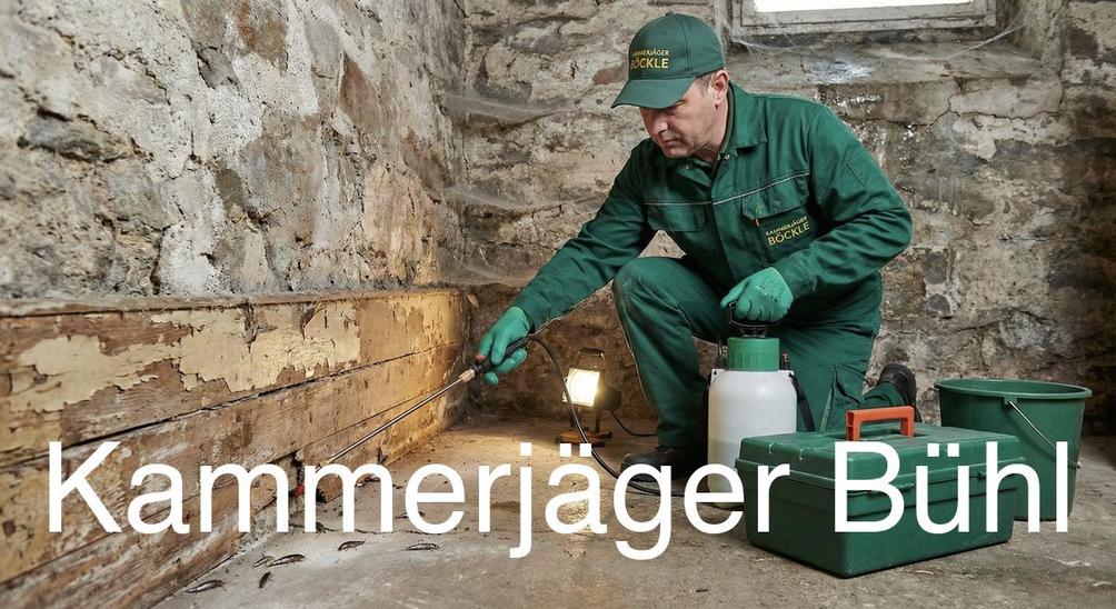 Typische Gebäudestrukturen in Bühl in Bühl: Kammerjäger Expertise