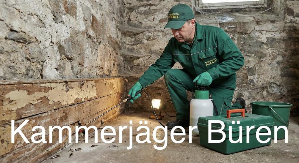 Typische Gebäudestrukturen in Büren in Büren: Kammerjäger Expertise