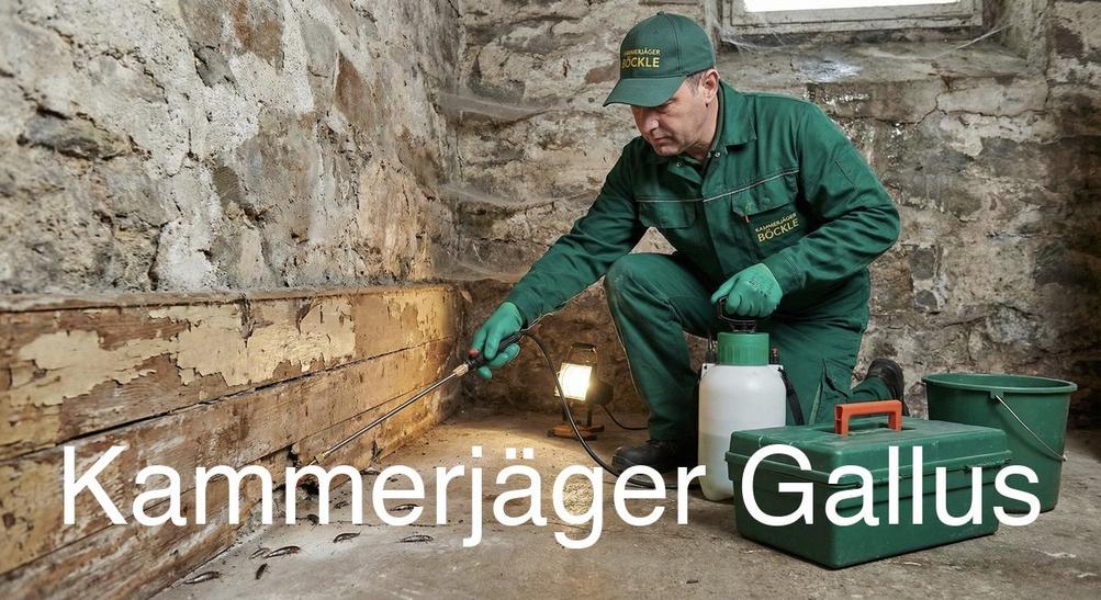 Typische Gebäudestrukturen in Gallus in Gallus: Kammerjäger Expertise