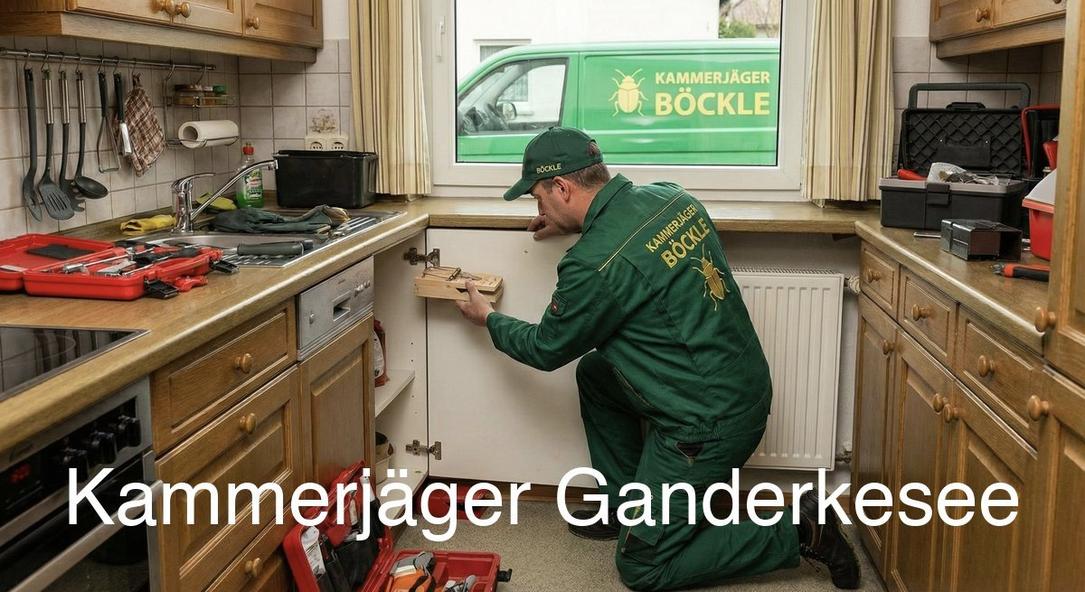 Typische Gebäudestrukturen in Ganderkesee in Ganderkesee: Kammerjäger Expertise