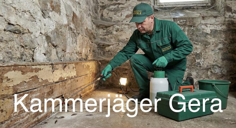 Typische Gebäudestrukturen in Gera in Gera: Kammerjäger Expertise