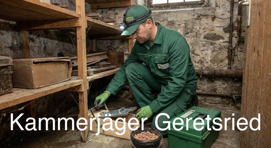 Typische Gebäudestrukturen in Geretsried in Geretsried: Kammerjäger Expertise