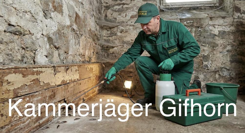 Typische Gebäudestrukturen in Gifhorn in Gifhorn: Kammerjäger Expertise