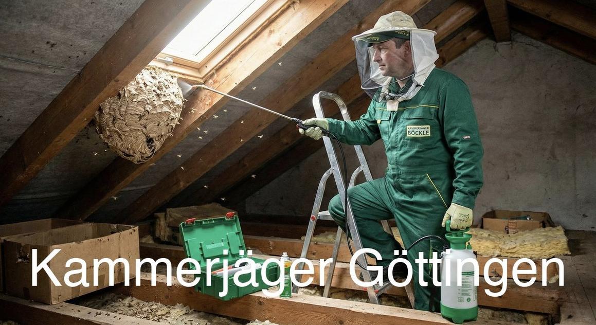 Typische Gebäudestrukturen in Göttingen in Göttingen: Kammerjäger Expertise