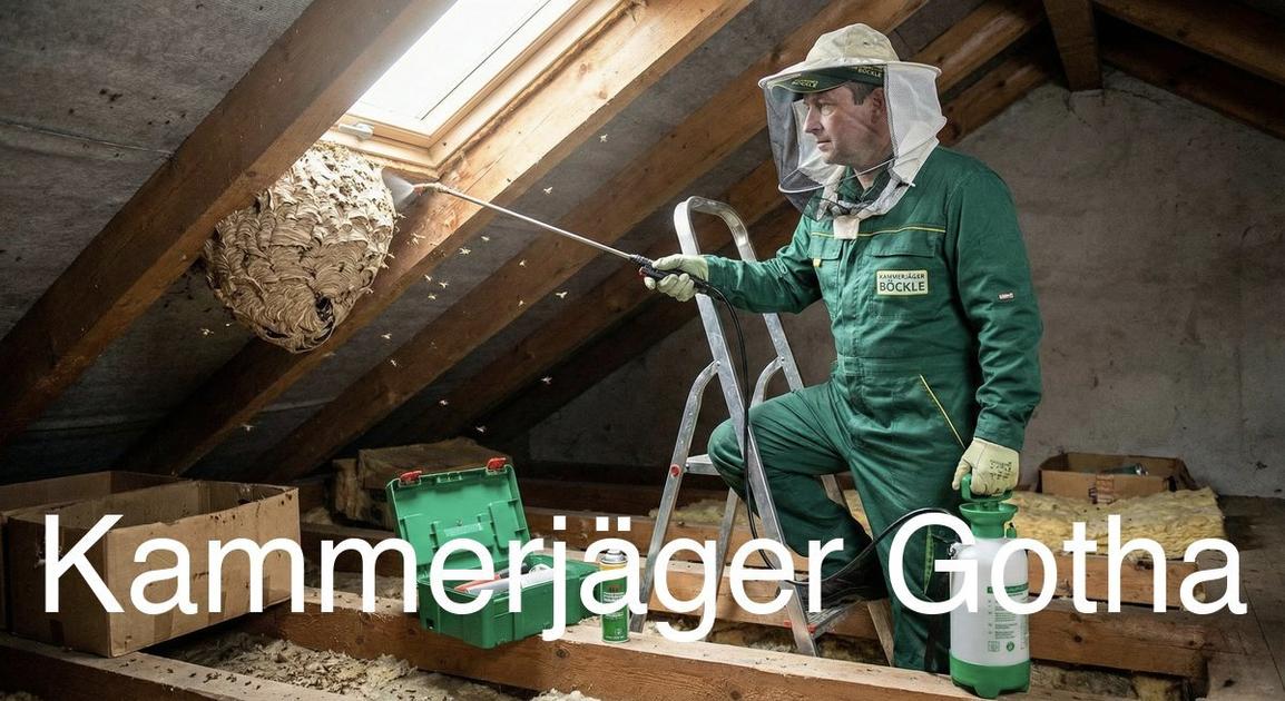 Typische Gebäudestrukturen in Gotha in Gotha: Kammerjäger Expertise