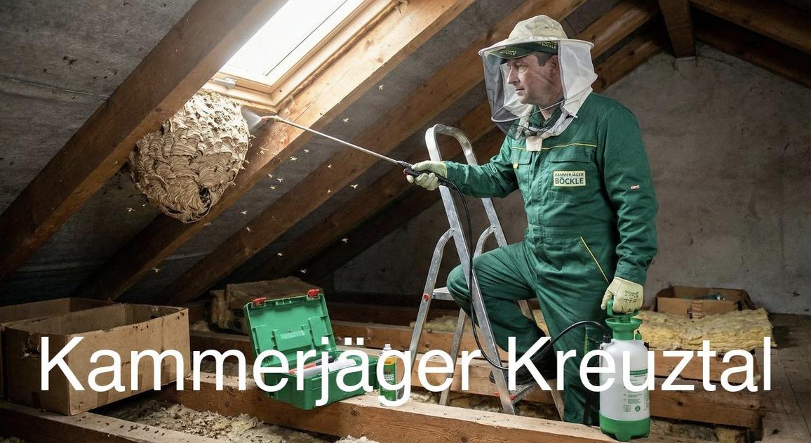 Typische Gebäudestrukturen in Kreuztal in Kreuztal: Kammerjäger Expertise