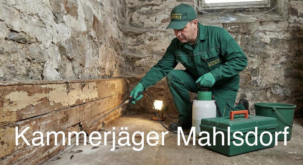 Typische Gebäudestrukturen in Mahlsdorf in Mahlsdorf: Kammerjäger Expertise