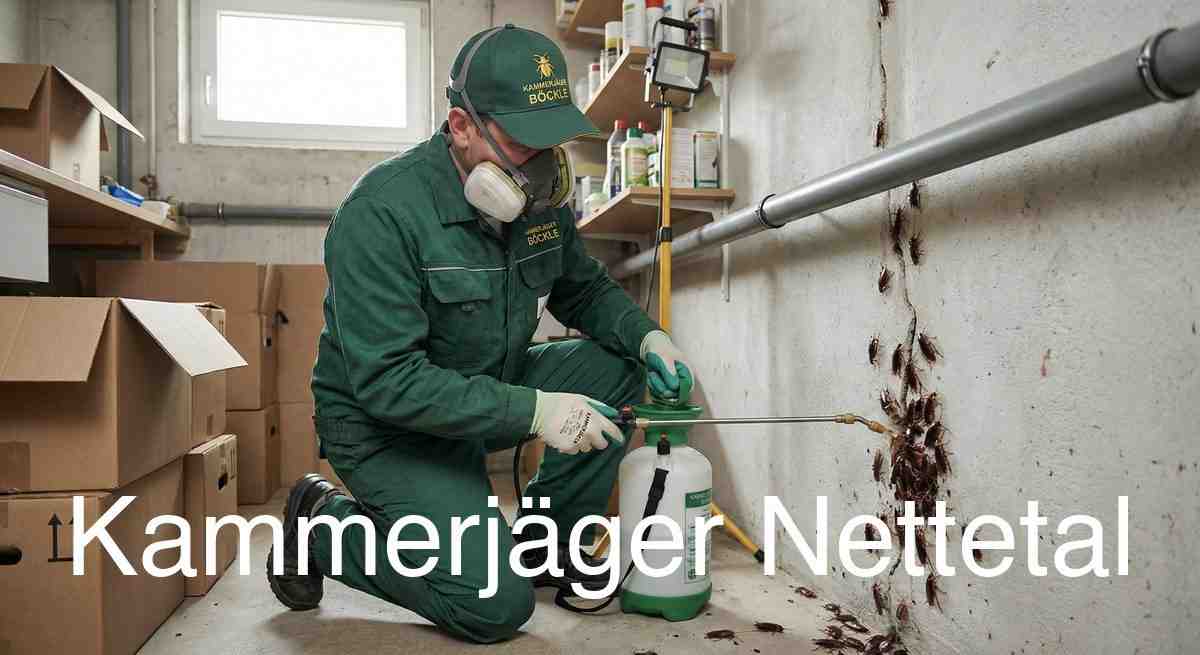 Typische Gebäudestrukturen in Nettetal in Nettetal: Kammerjäger Expertise