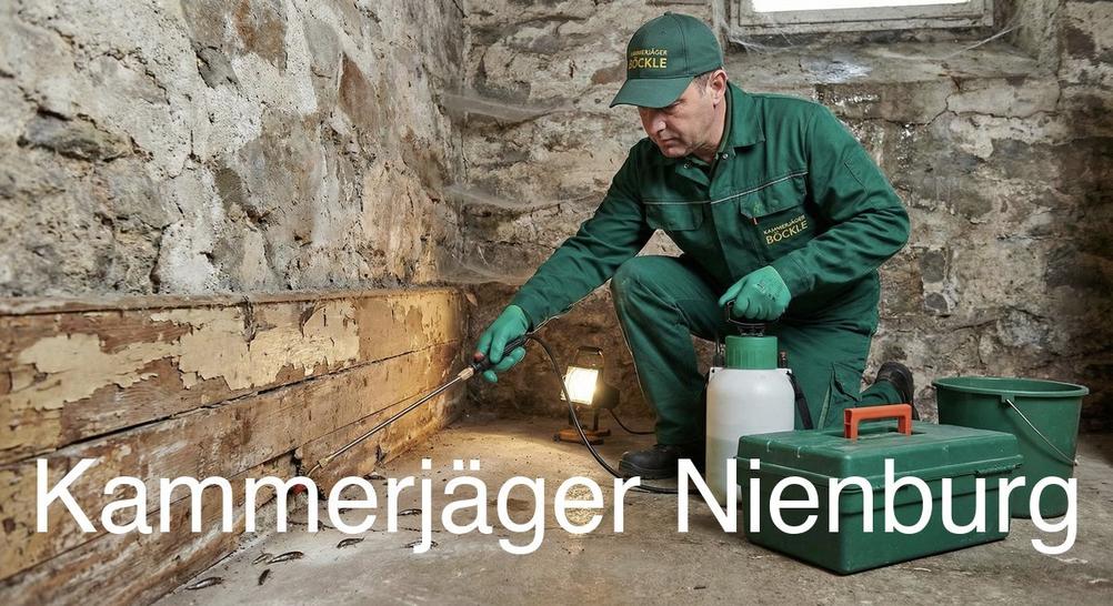 Typische Gebäudestrukturen in Nienburg in Nienburg: Kammerjäger Expertise