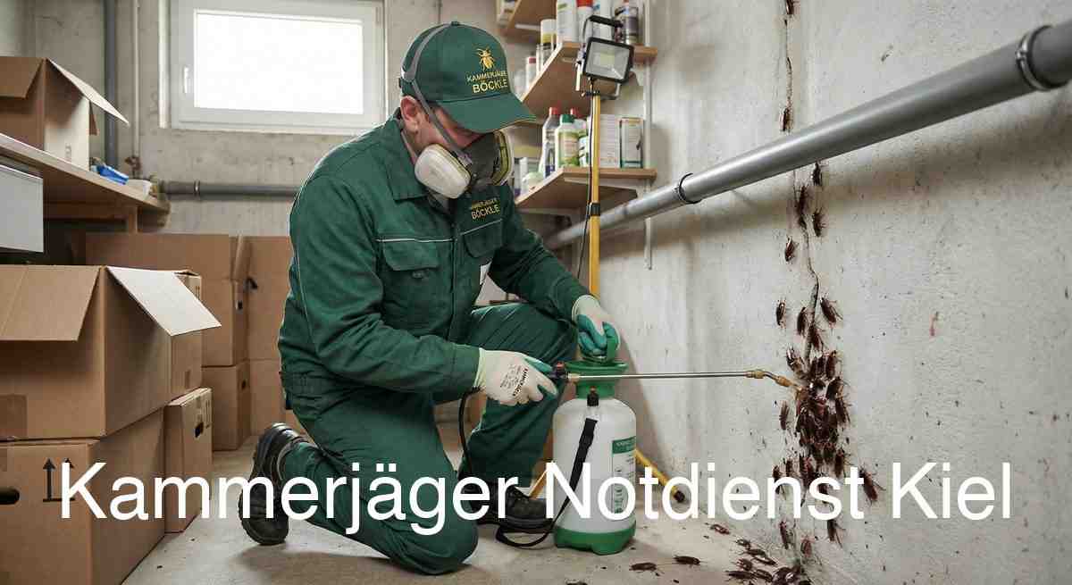Schädlingsrisiken in Kiel: Stadtstruktur und Kammerjäger Expertise