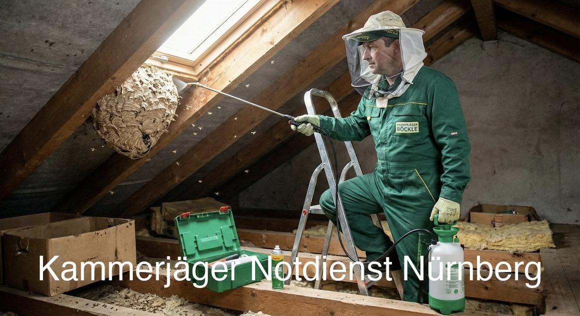 Schädlingsrisiken in Nürnberg: Stadtstruktur und Kammerjäger Expertise