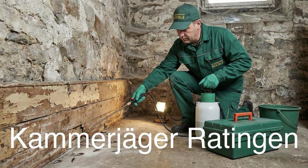 Typische Gebäudestrukturen in Ratingen in Ratingen: Kammerjäger Expertise