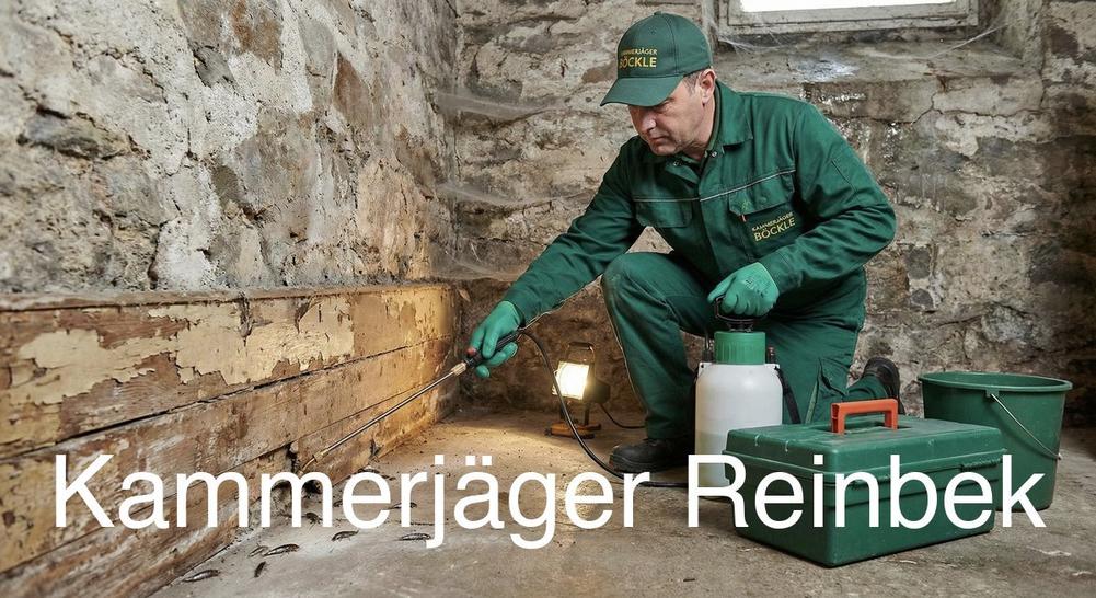Typische Gebäudestrukturen in Reinbek in Reinbek: Kammerjäger Expertise