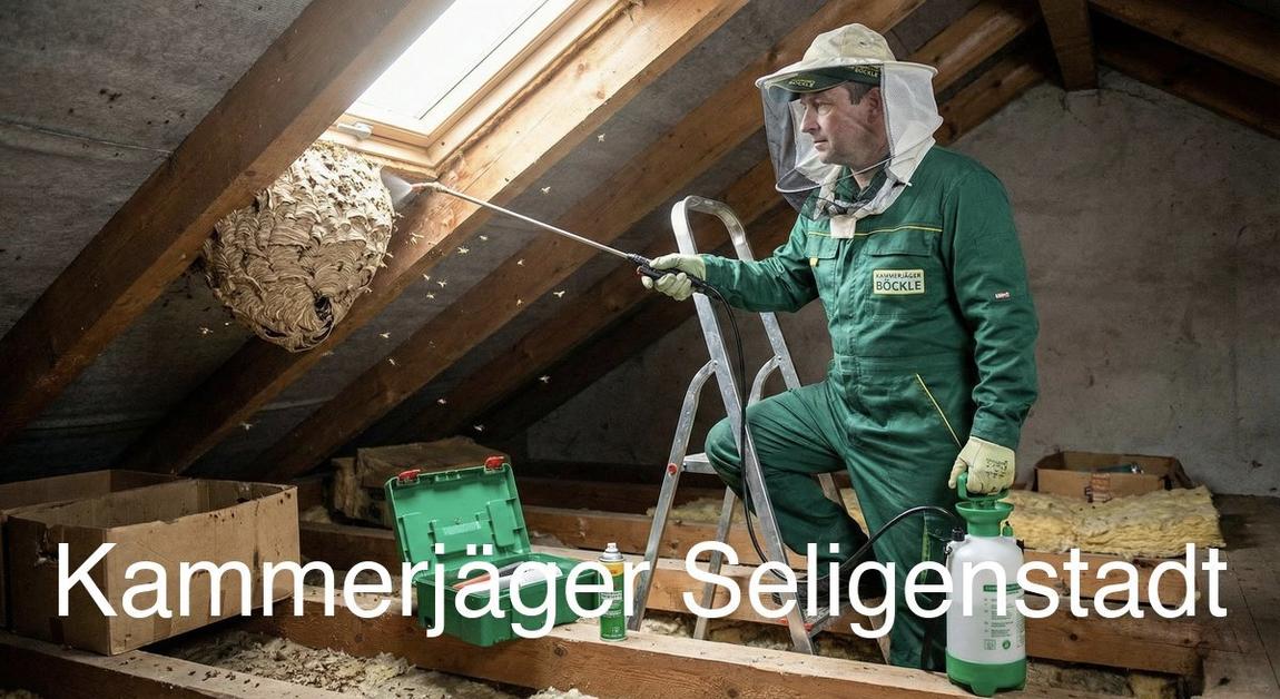 Typische Gebäudestrukturen in Seligenstadt in Seligenstadt: Kammerjäger Expertise