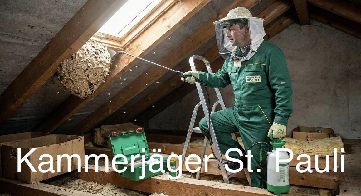 Typische Gebäudestrukturen in St. Pauli in St. Pauli: Kammerjäger Expertise