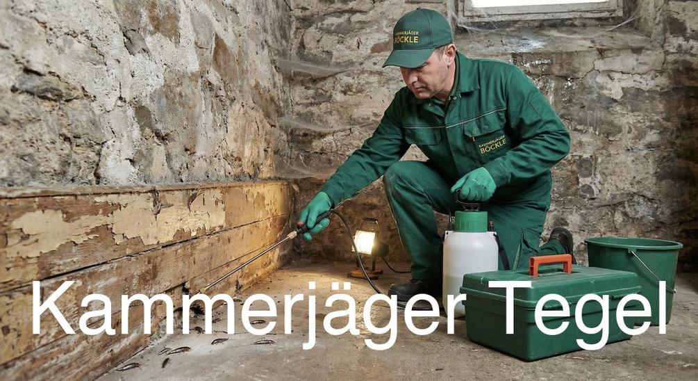 Typische Gebäudestrukturen in Tegel in Tegel: Kammerjäger Expertise