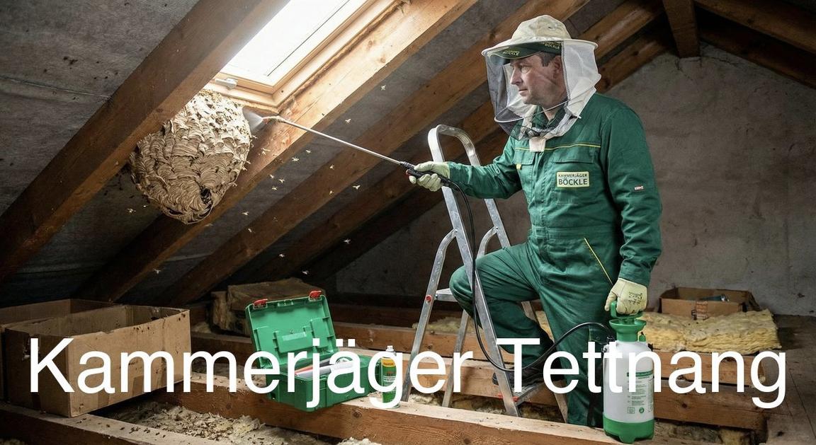 Typische Gebäudestrukturen in Tettnang in Tettnang: Kammerjäger Expertise