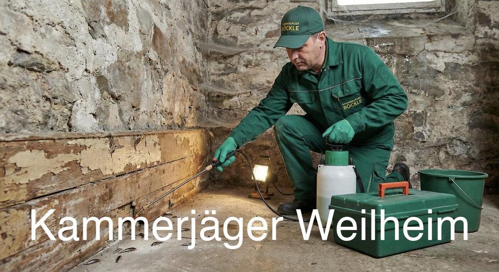 Typische Gebäudestrukturen in Weilheim in Weilheim: Kammerjäger Expertise