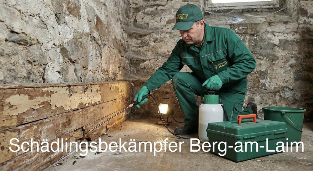 Häufige Schädlinge in Berg-am-Laim: Rattenbekämpfung, Mäusebekämpfung, Kakerlakenbekämpfung