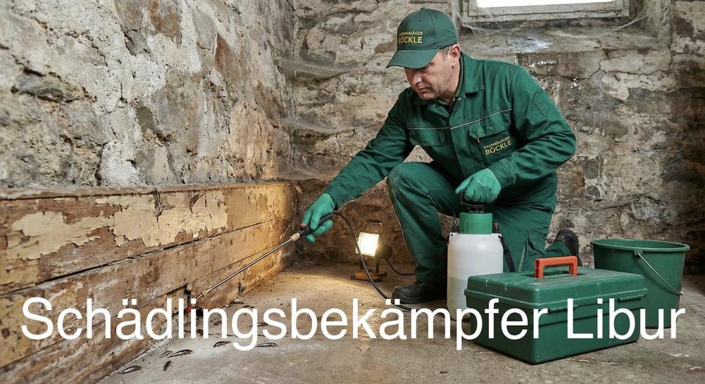 Häufige Schädlinge in Libur: Rattenbekämpfung, Mäusebekämpfung, Kakerlakenbekämpfung