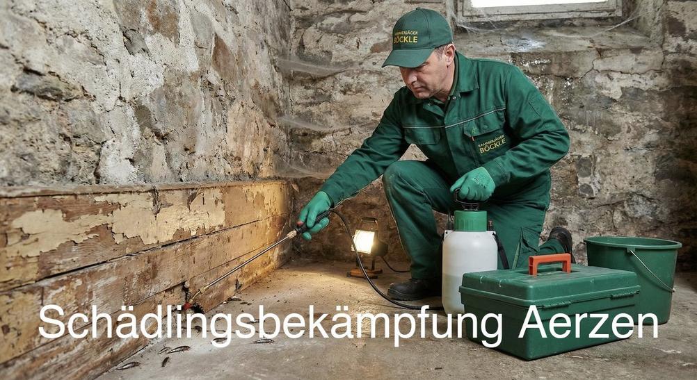 Kammerjäger Aerzen: Professionelle Schädlingsbekämpfung mit Endoskop-Inspektion