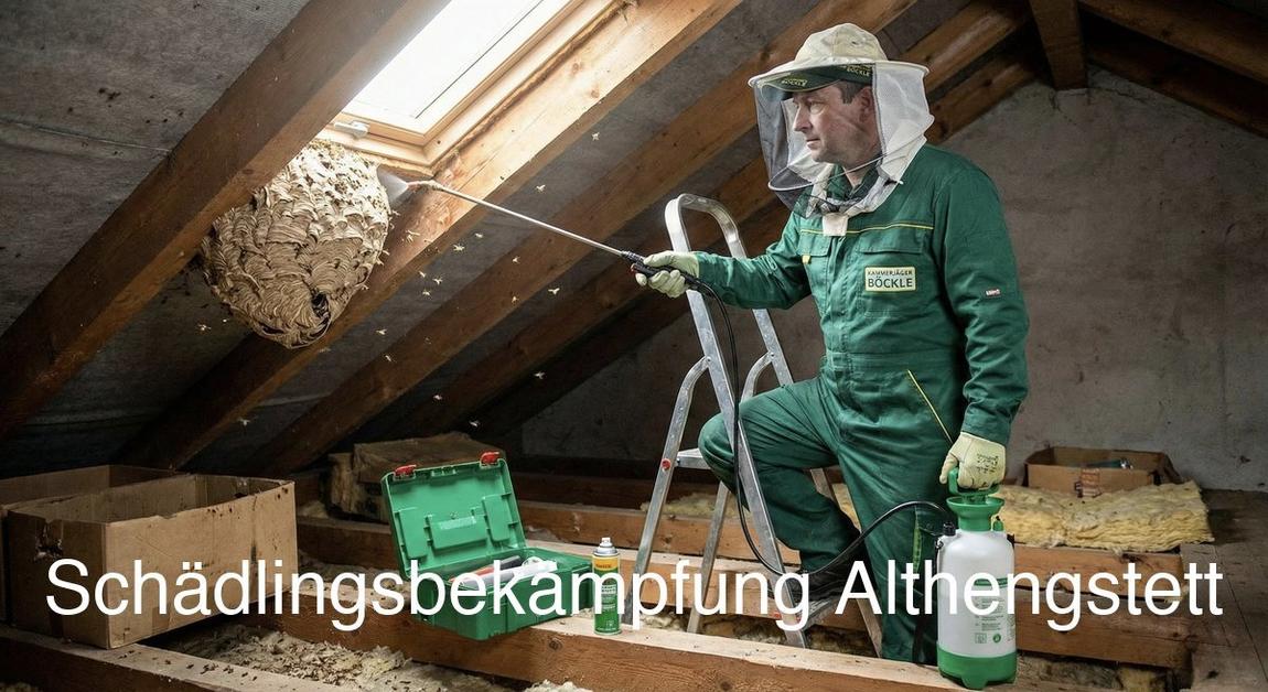 Kammerjäger Althengstett: Professionelle Schädlingsbekämpfung mit Endoskop-Inspektion