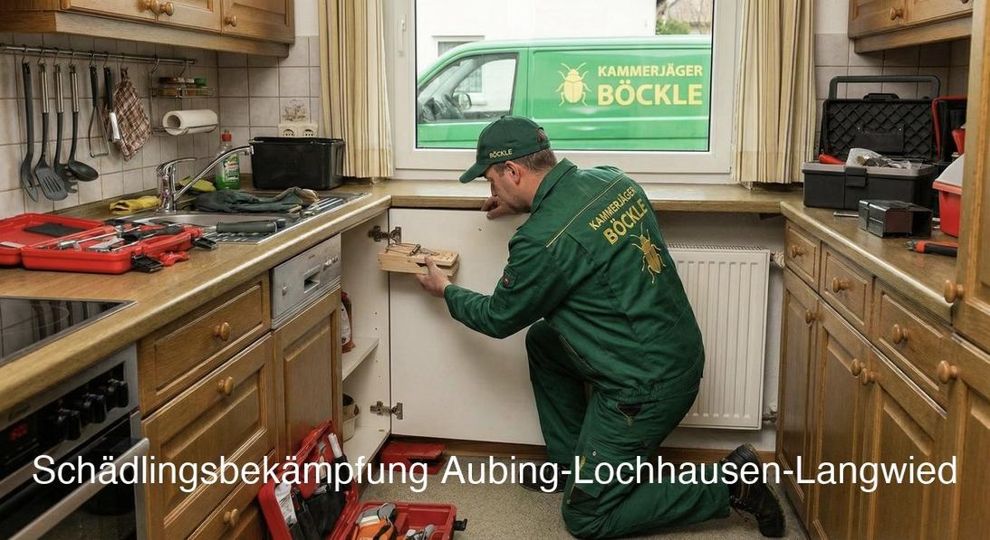 Kammerjäger Aubing-Lochhausen-Langwied: Professionelle Schädlingsbekämpfung mit Endoskop-Inspektion