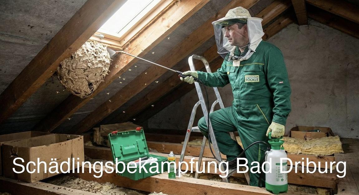Kammerjäger Bad Driburg: Professionelle Schädlingsbekämpfung mit Endoskop-Inspektion
