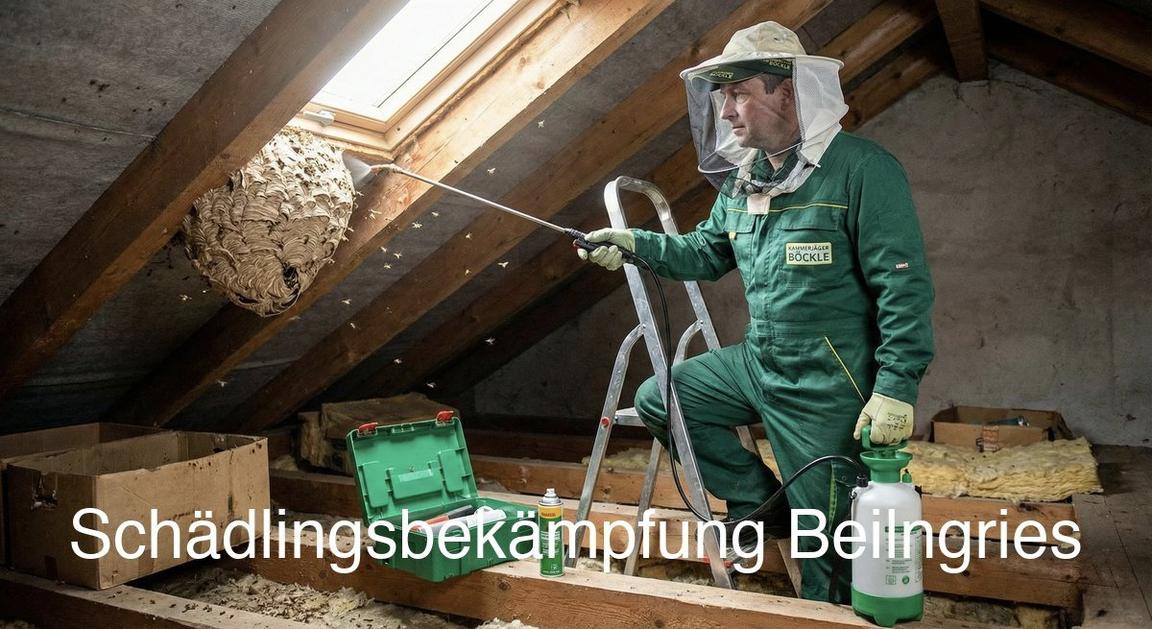Kammerjäger Beilngries: Professionelle Schädlingsbekämpfung mit Endoskop-Inspektion
